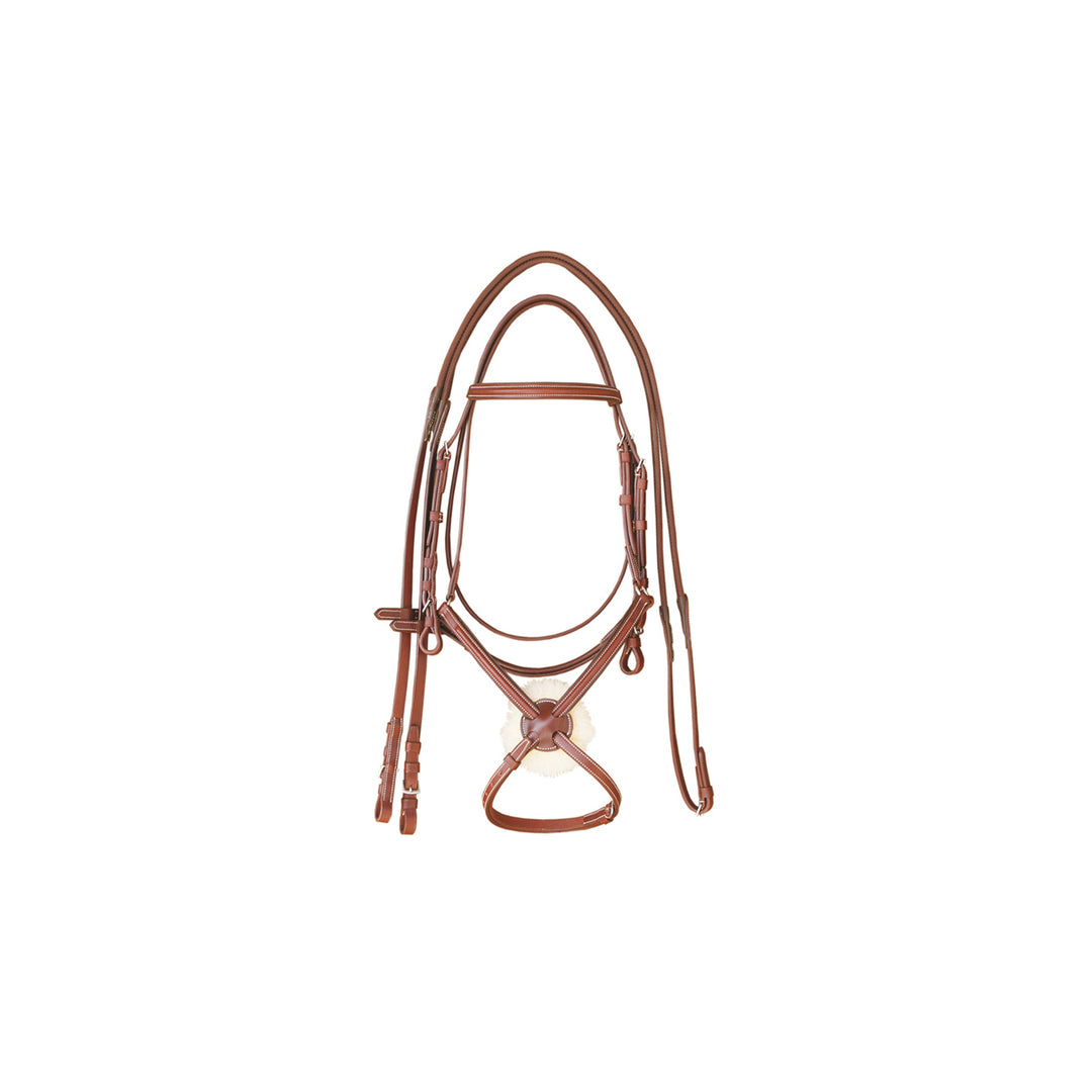 Supreme Mexican Bridle, front view