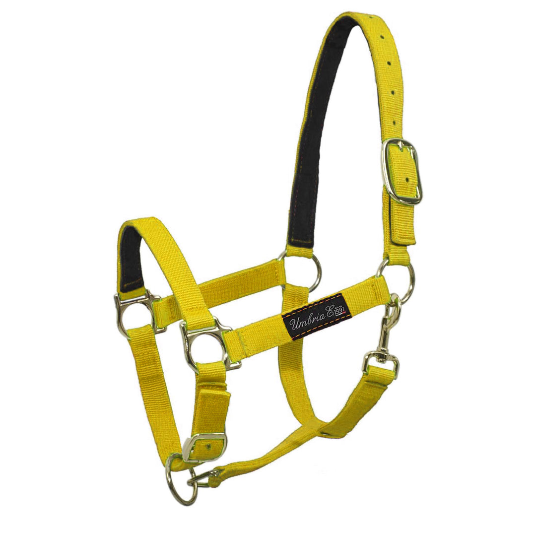 Umbria Equitazione Nylon Headcollar with Leather Reinforcement - Yellow, front view