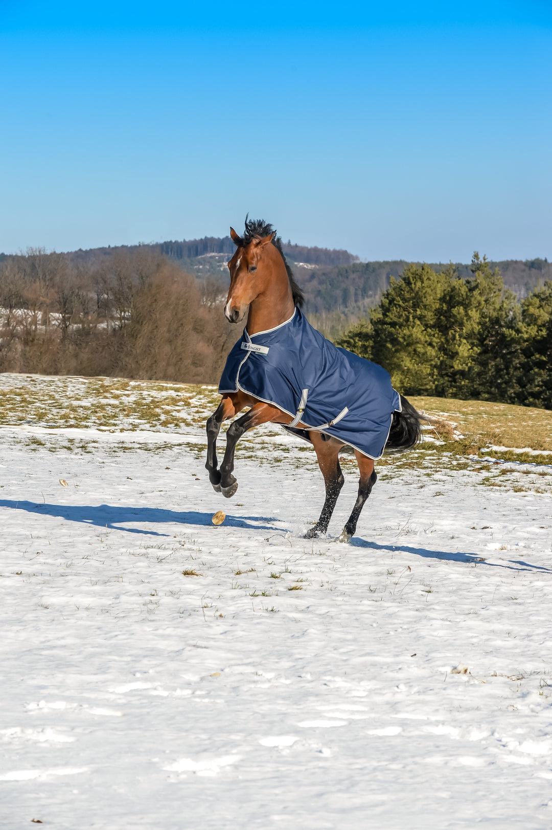 Bucas Freedom 300g Turnout Rug