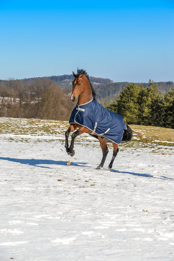 Turnout Rugs