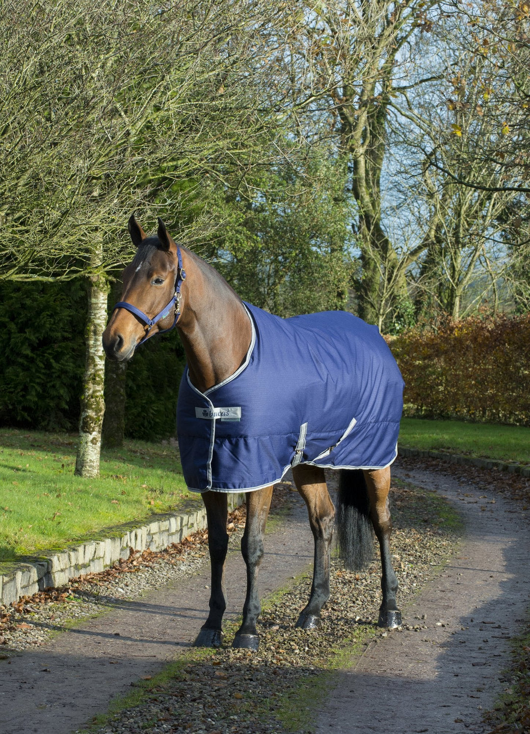 Bucas Freedom 300g Stable Rug